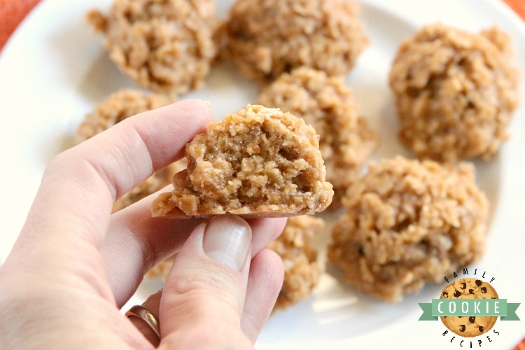 No Bake Pumpkin Cookies are full of oats and pumpkin flavor and come together in minutes without ever turning the oven on. This easy no bake cookie recipe is quick, delicious and perfect for fall!