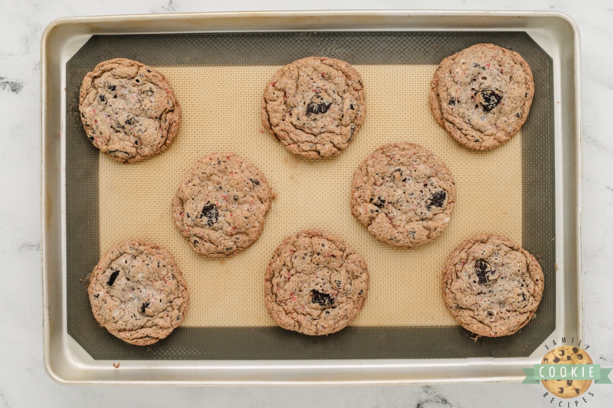 Baked cookies on a cookie sheet. 