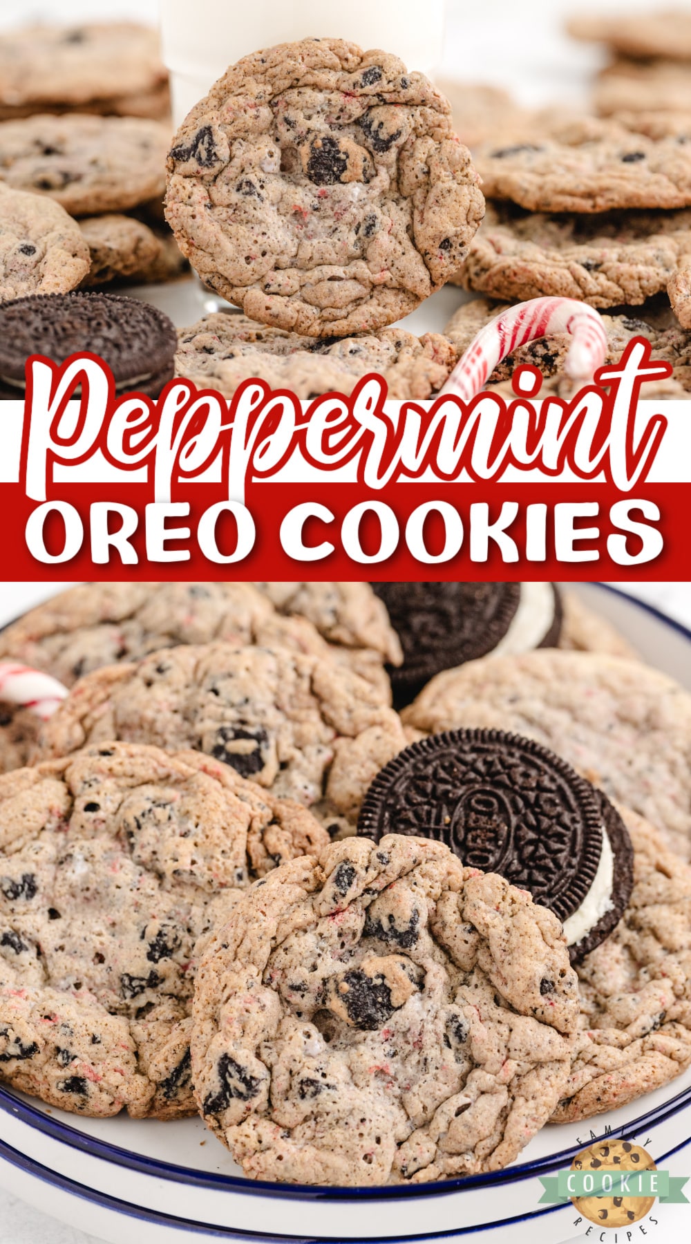 Peppermint Oreo Cookies are made with pudding mix, Oreo cookies, crushed candy canes and peppermint extract. This delicious peppermint cookie recipe yields a perfectly soft and chewy cookie that is sure to be a favorite holiday cookie!