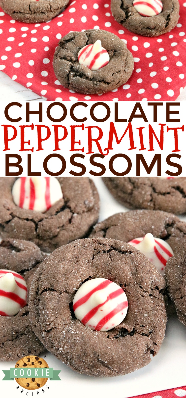 Chocolate Peppermint Blossoms are made with a cake mix, eggs, butter, and Hershey's Candy Cane Kisses. This easy cake mix cookie recipe yields soft and chewy chocolate cookies with just the right amount of peppermint!