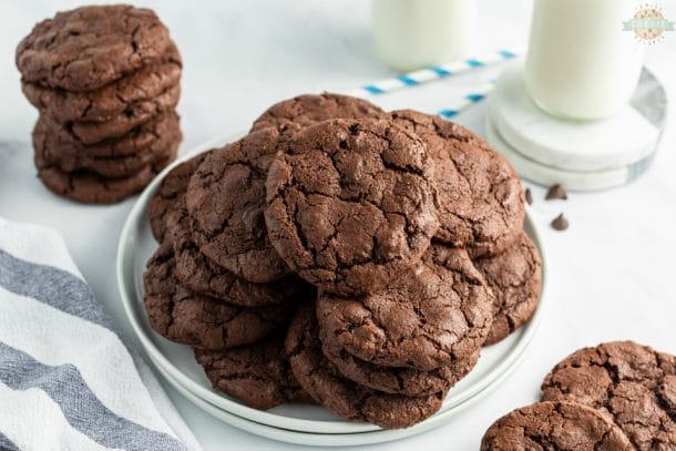 DOUBLE CHOCOLATE CHIP COOKIES - Family Cookie Recipes