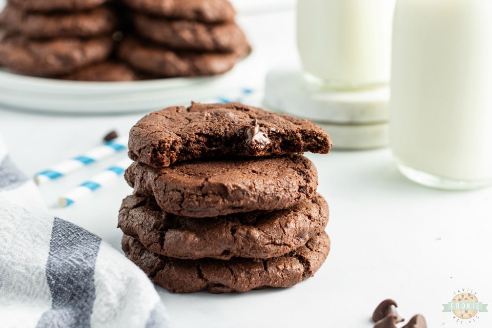 Double Chocolate Chip Cookies made with twice the chocolate for the ultimate chocolate chip cookie! Soft chewy cookies with fantastic chocolate flavor for those who LOVE chocolate!