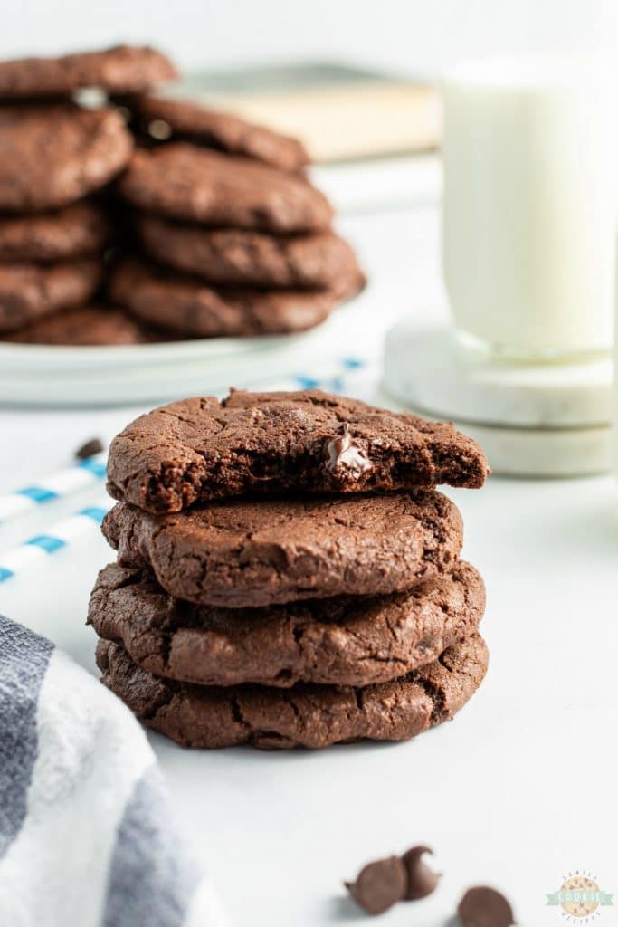 DOUBLE CHOCOLATE CHIP COOKIES - Family Cookie Recipes