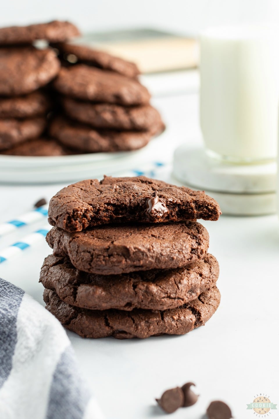Double Chocolate Chip Cookies made with twice the chocolate for the ultimate chocolate chip cookie! Soft chewy cookies with fantastic chocolate flavor for those who LOVE chocolate!