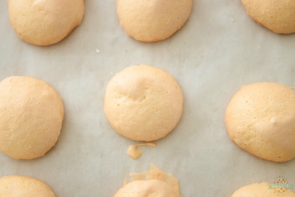 Easy Vanilla Meringue Cookies recipe