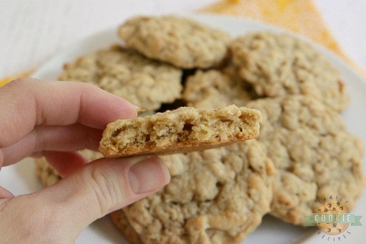 Bite taken out of oatmeal cookie 