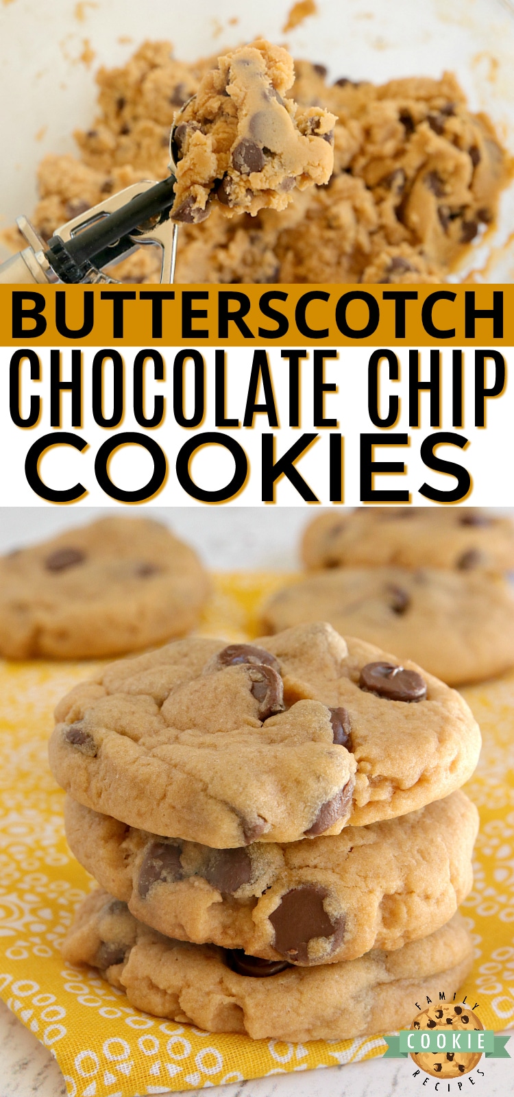 Butterscotch Chocolate Chip Cookies made with butterscotch pudding mix and milk chocolate chips. Amazingly soft and chewy cookies bursting with butterscotch flavor.