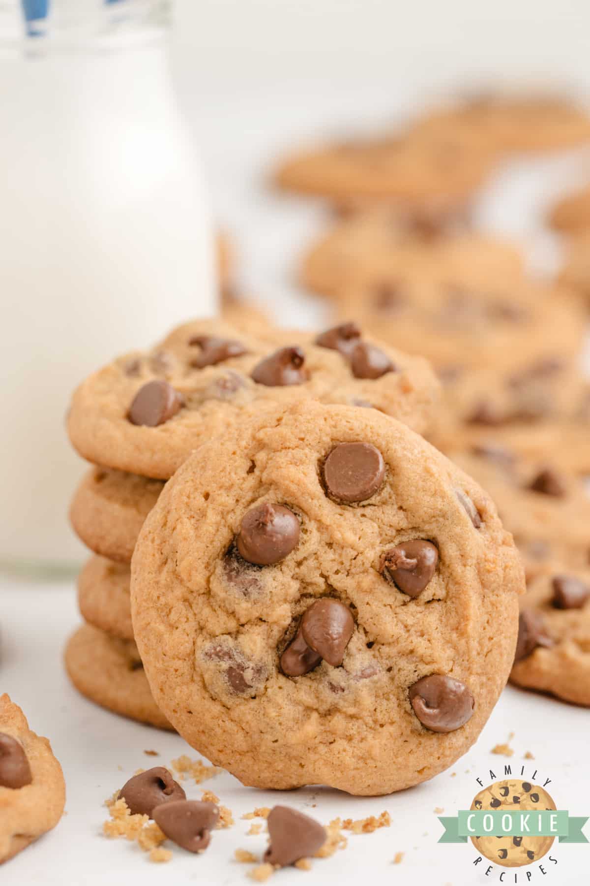 Chocolate chip cookie made with butterscotch pudding mix. 