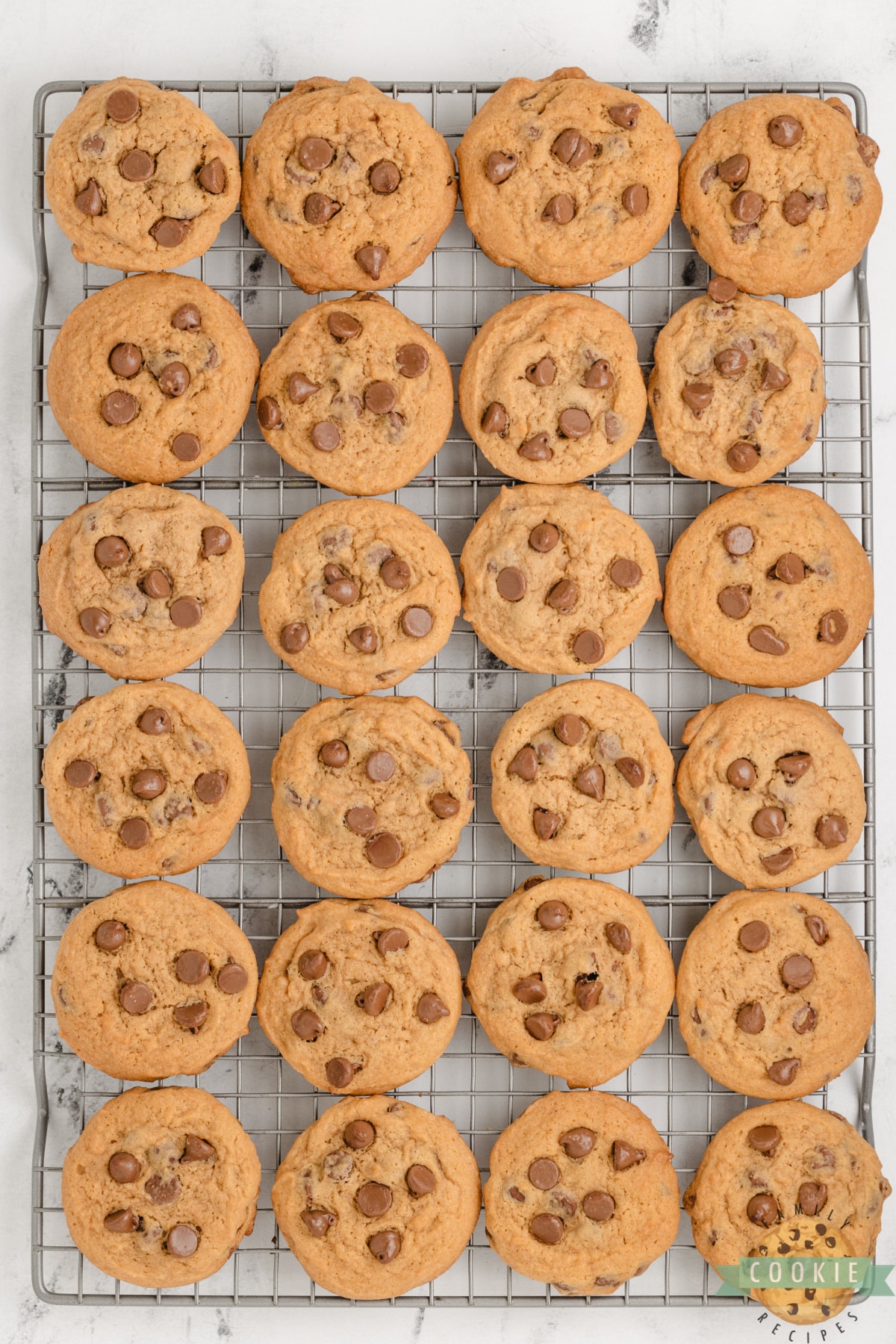 Butterscotch chocolate chip cookies on a wire rack. 