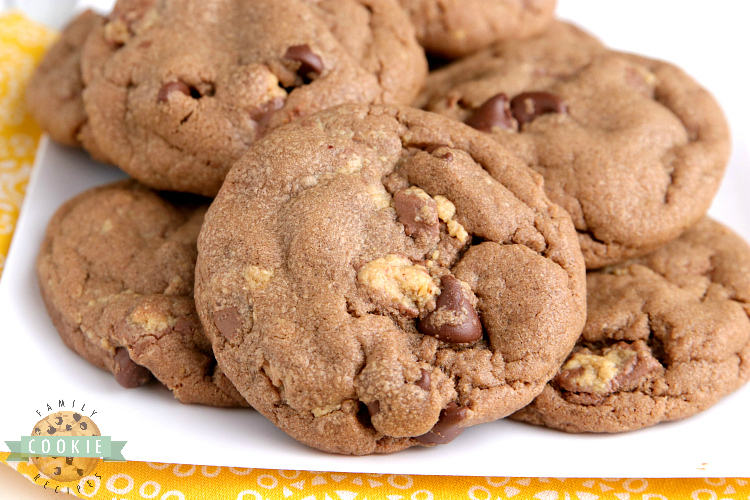 Chocolate peanut butter cookies with peanut butter cups