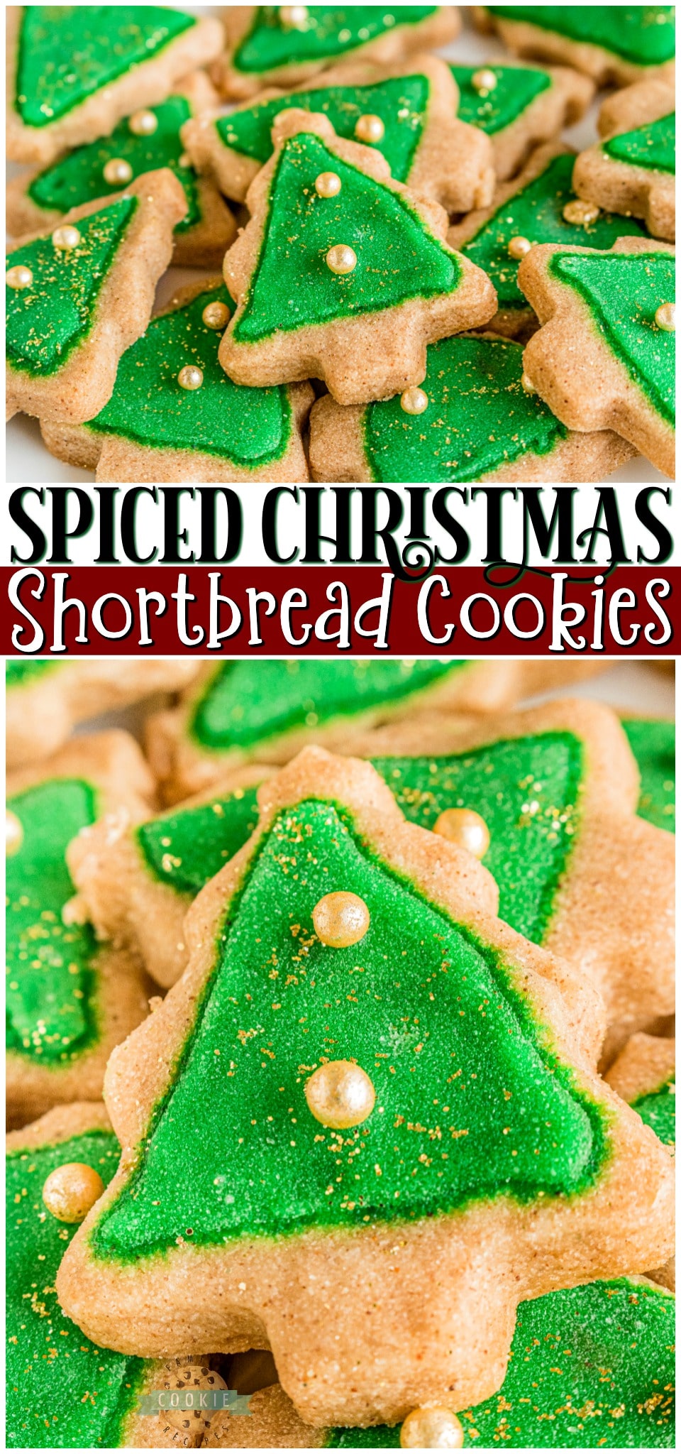 Spiced Christmas Shortbread Cookies made with cinnamon & allspice in the dough and topped with a simple icing recipe for perfect Christmas cookies! Buttery shortbread cookies with great flavor & texture for holiday baking.