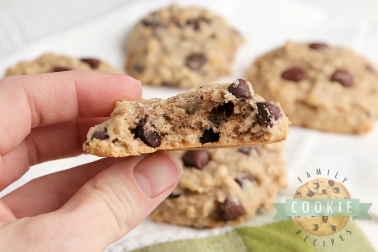 Applesauce Oatmeal Chocolate Chip Cookie