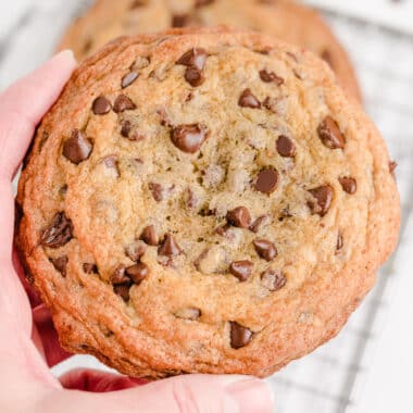 chocolate chip cookies bigger than your hand!