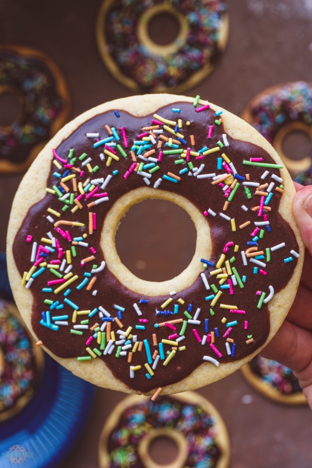 chocolate glazed donut with sprinkles