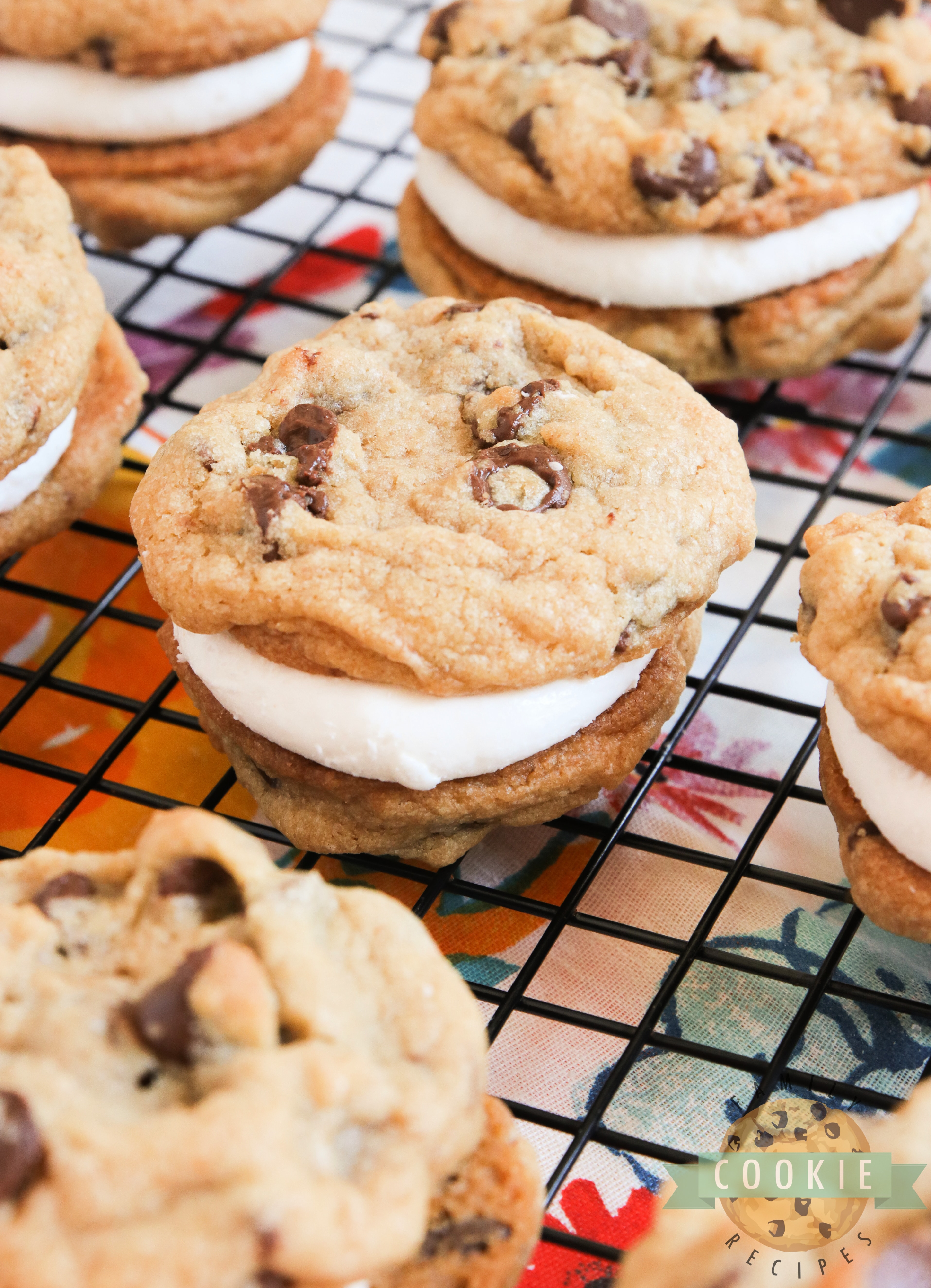 S'mores Cookie Sandwiches are made with graham cracker chocolate chip cookies and a simple marshmallow filling. Even if you don't love s'mores, you will love these cookie sandwiches!