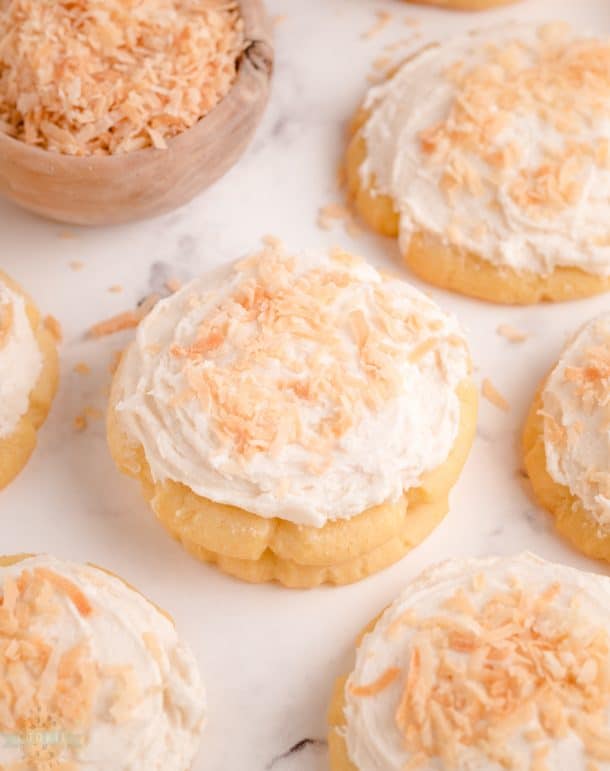 COCONUT SUGAR COOKIES Family Cookie Recipes