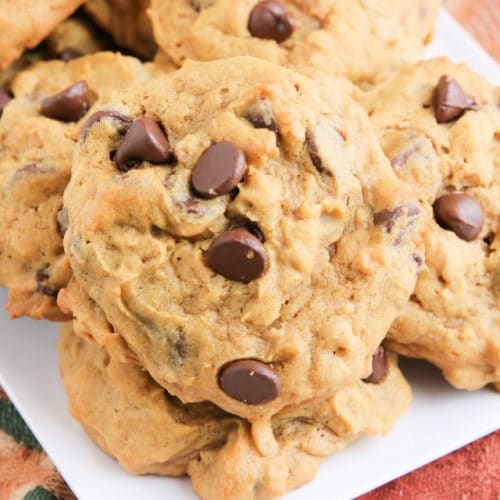 PUMPKIN OATMEAL CHOCOLATE CHIP COOKIES - Family Cookie Recipes