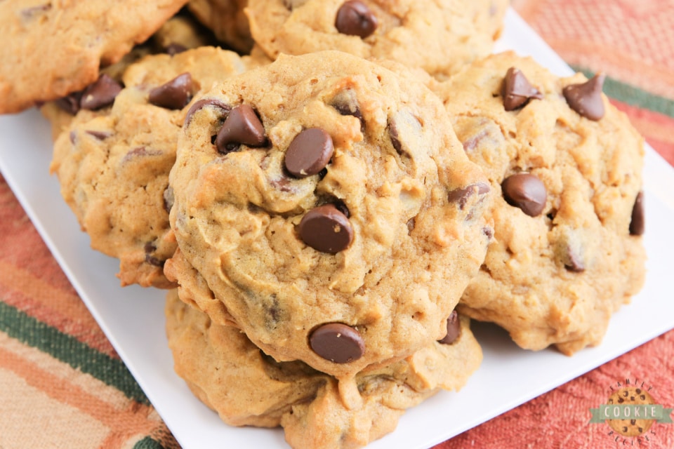 Pumpkin Oatmeal Chocolate Chip Cookies are soft, moist and loaded with pumpkin, oats and chocolate chips. Perfect oatmeal chocolate chip cookie recipe for fall!