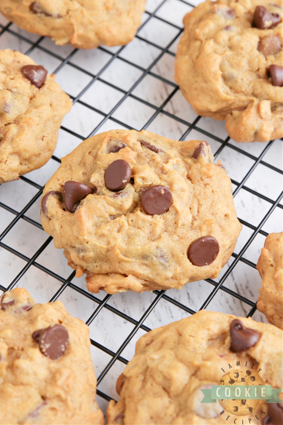 Pumpkin Oatmeal Chocolate Chip Cookies are soft, moist and loaded with pumpkin, oats and chocolate chips. Perfect oatmeal chocolate chip cookie recipe for fall!