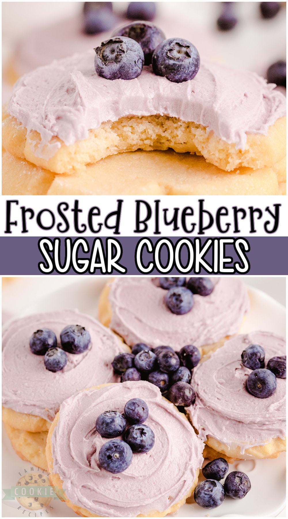 Blueberry sugar cookies made with a soft, vanilla cookie dough & an absolutely delightful blueberry buttercream frosting on top! Frosted sugar cookie with blueberries perfect for any occasion! #cookies #blueberry #sugarcookies #baking #easyrecipe from FAMILY COOKIE RECIPES via @buttergirls