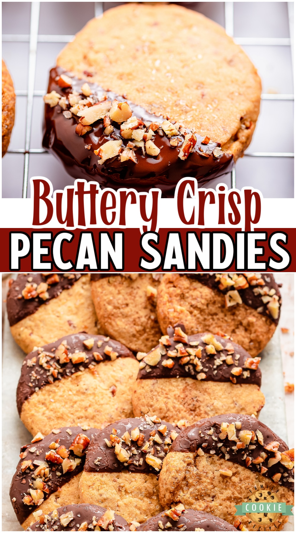 Pecan Sandies are a tender, buttery cookie flavored with cinnamon, vanilla and plenty of pecans! Pecan cookies dipped in dark chocolate and sprinkled with chopped pecans for the ultimate cookie!  via @buttergirls