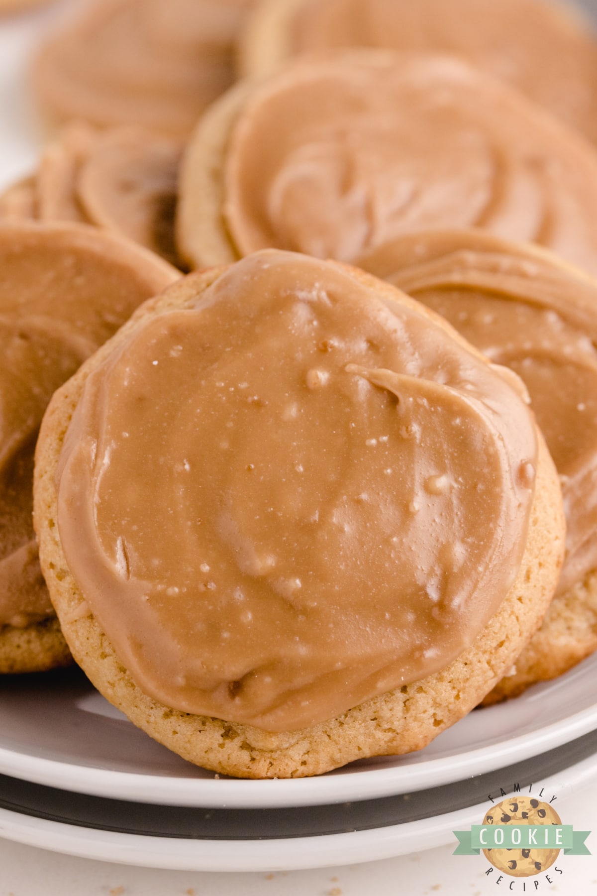 Frosted Brown Sugar Cookies are soft and chewy with a simple brown sugar frosting on top. Easy cookie recipe with a rich brown sugar flavor that is absolutely delicious! 