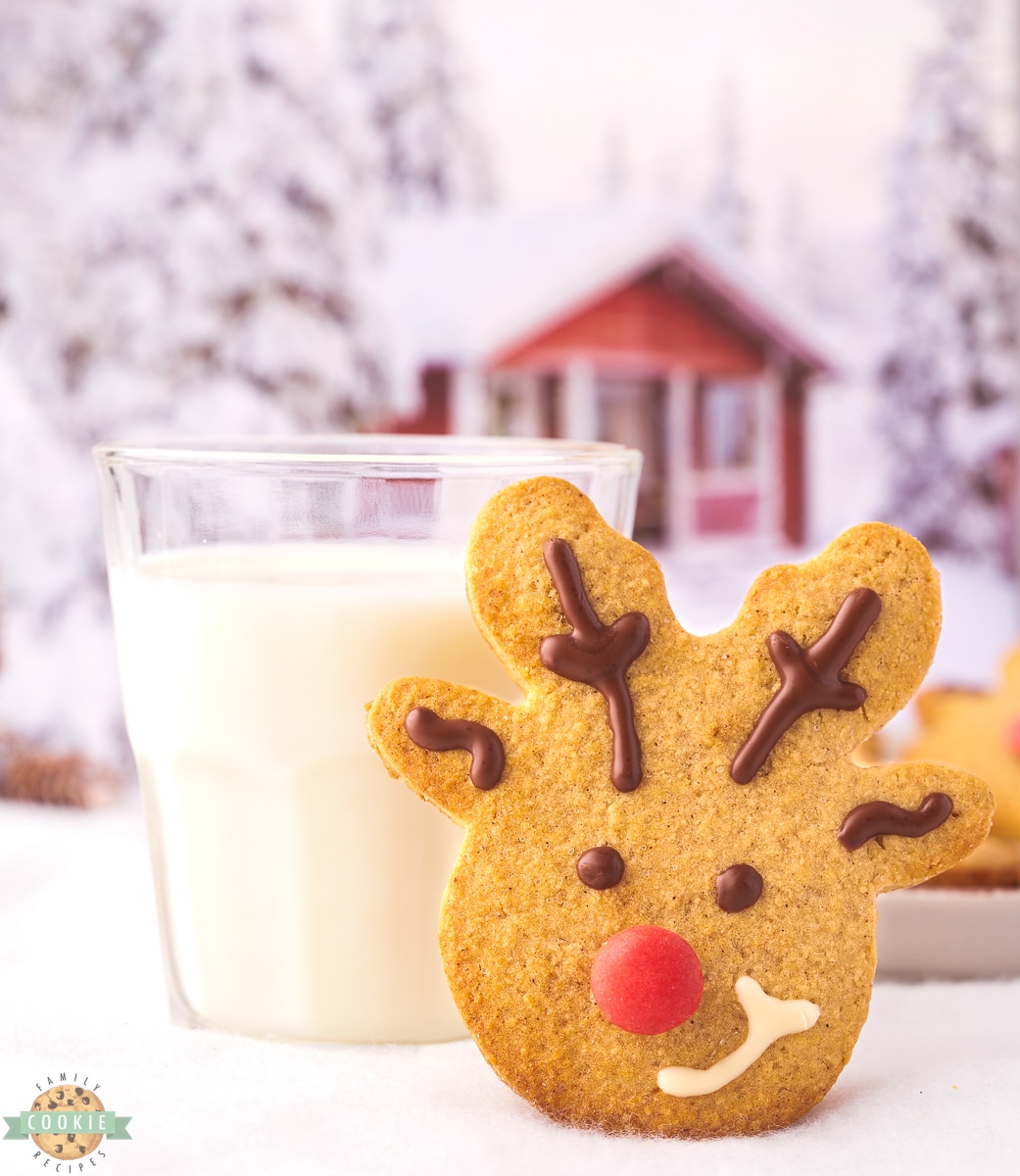 spiced reindeer cookies