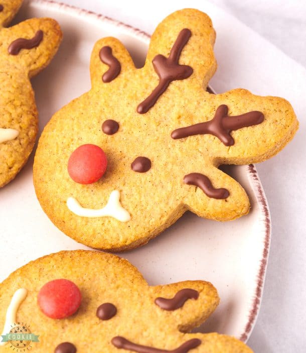 SPICED REINDEER COOKIES Family Cookie Recipes