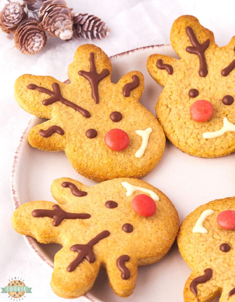 SPICED REINDEER COOKIES Family Cookie Recipes