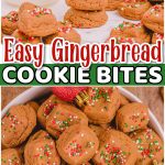 Christmas gingerbread cookie bites are a fun twist on a classic! Simple one-bite cookies are everything you love about gingerbread, only EASY. Perfect holiday cookies for your next Christmas party!