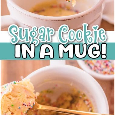 Sugar Cookie In a MUG recipe for when you just want a cookie, fast! Quick & easy warm sugar cookie done in minutes & made in a mug in the microwave!
