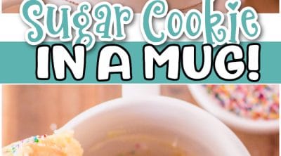 Sugar Cookie In a MUG recipe for when you just want a cookie, fast! Quick & easy warm sugar cookie done in minutes & made in a mug in the microwave!