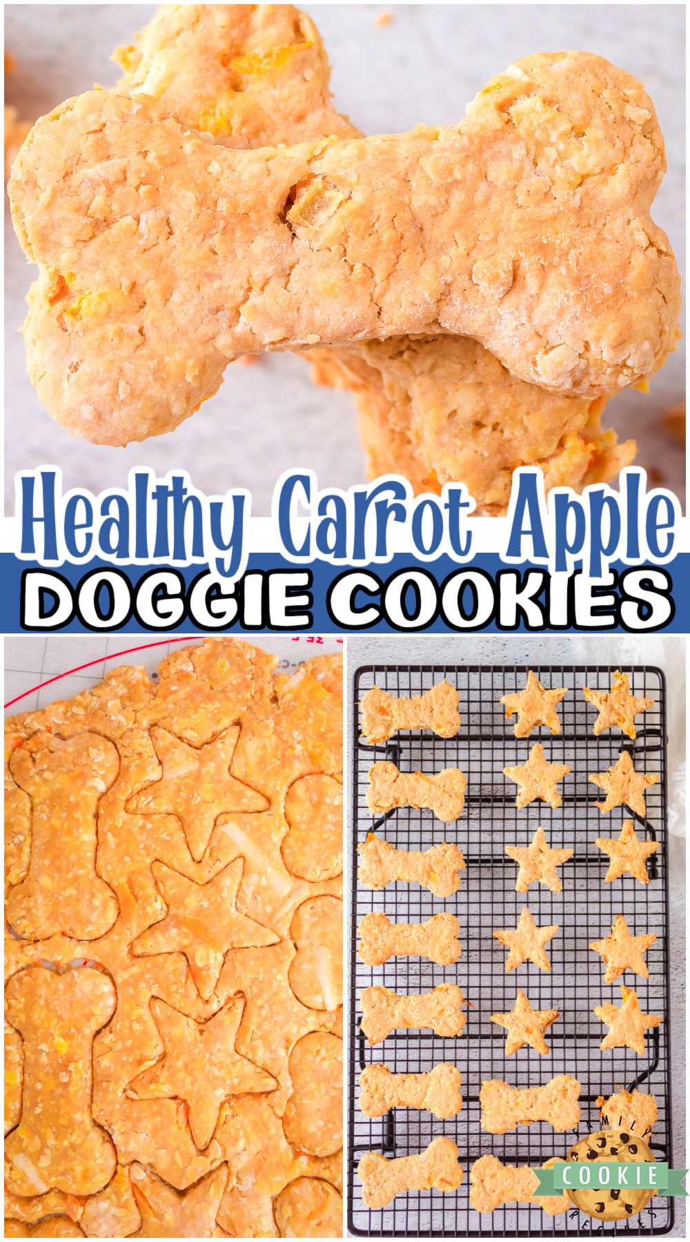 Healthy Homemade Dog Cookies made with carrot, oats, peanut butter & apple! Our favorite healthy dog treat recipe is packed with nutrients, easily made at home and is perfect for your favorite fur friend! 
