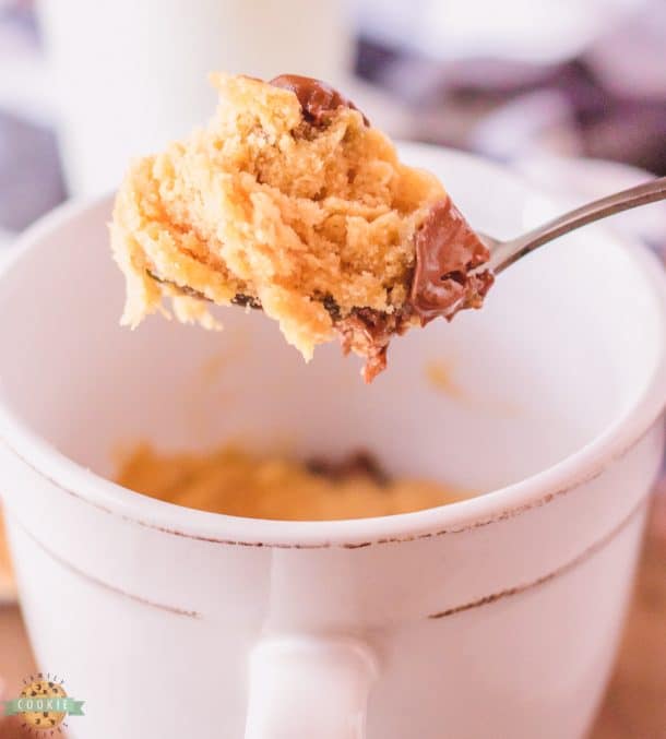 PEANUT BUTTER COOKIE IN A MUG Family Cookie Recipes