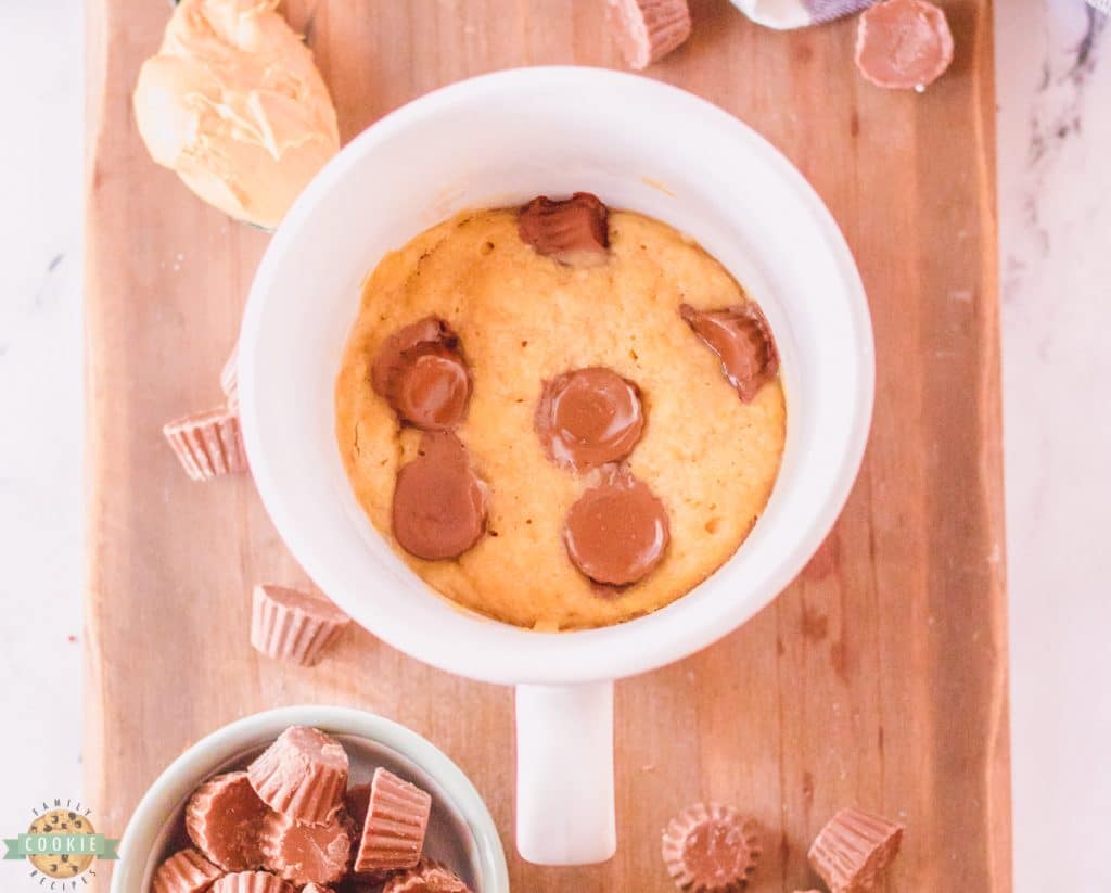 PEANUT BUTTER COOKIE IN A MUG Family Cookie Recipes