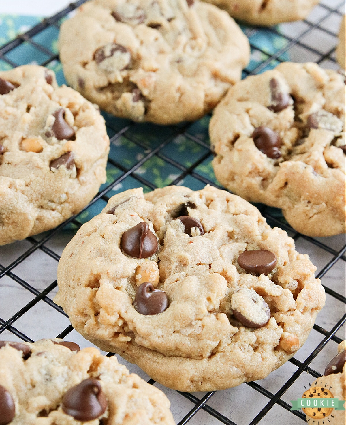 Rice Krispie Chocolate Chip Peanut Butter cookies are soft, thick and chewy peanut butter cookies with a crispy crunch in every bite. Delicious peanut butter cookie recipe that is made even better by adding chocolate chips and Rice Krispies!