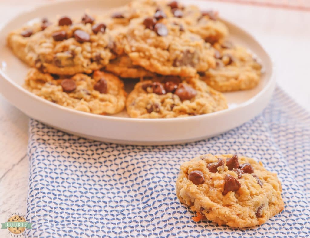 CHOCOLATE CHIP COCONUT OATMEAL COOKIES Family Cookie Recipes