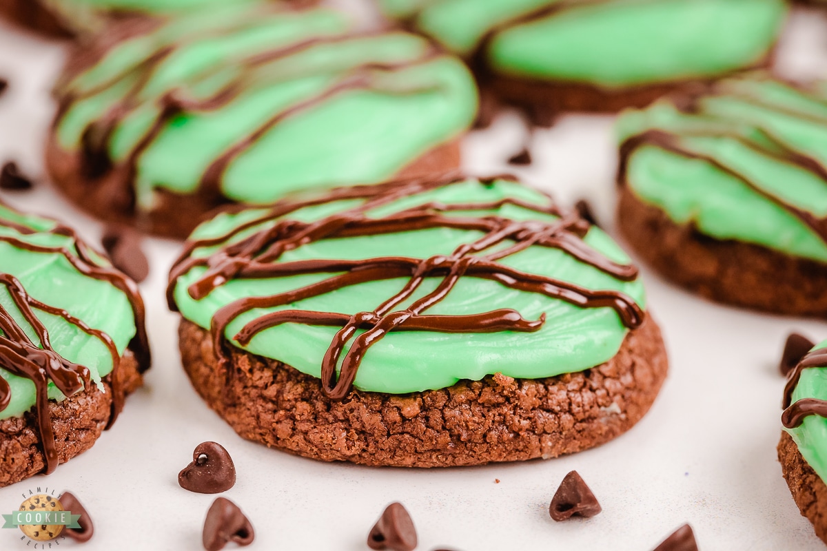 double chocolate mint cookies with chocolate chips
