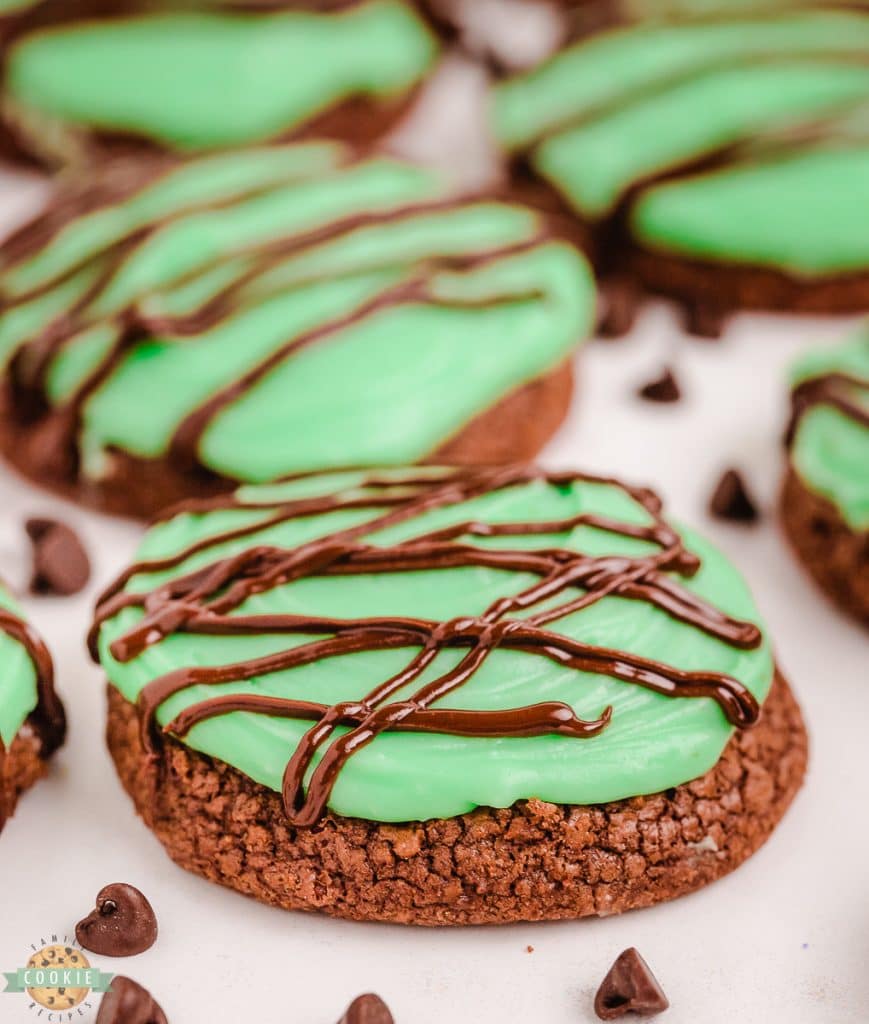double chocolate mint cookies