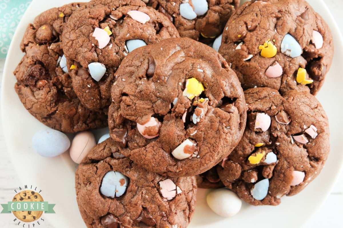 Thick, soft and chewy chocolate cookie recipe