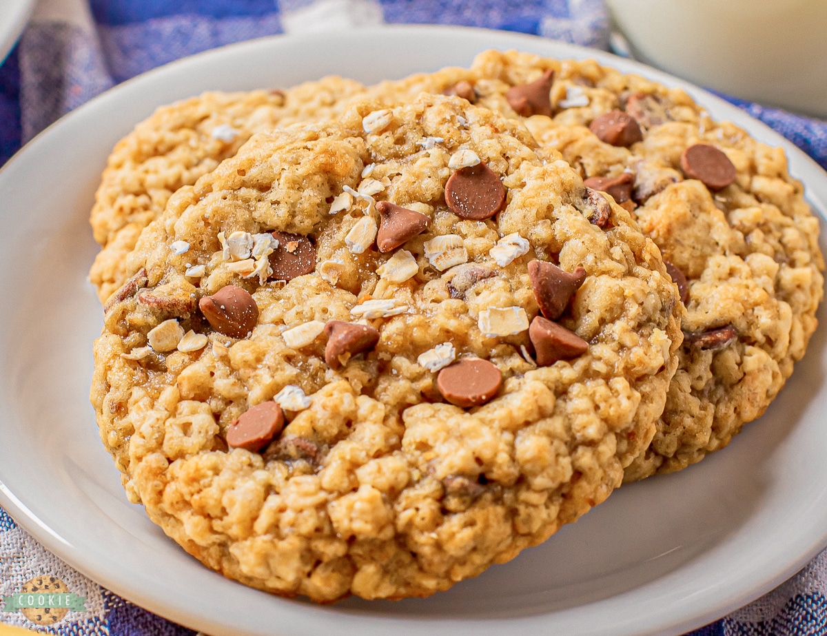 banana chocolate chip oatmeal cookies on a plate