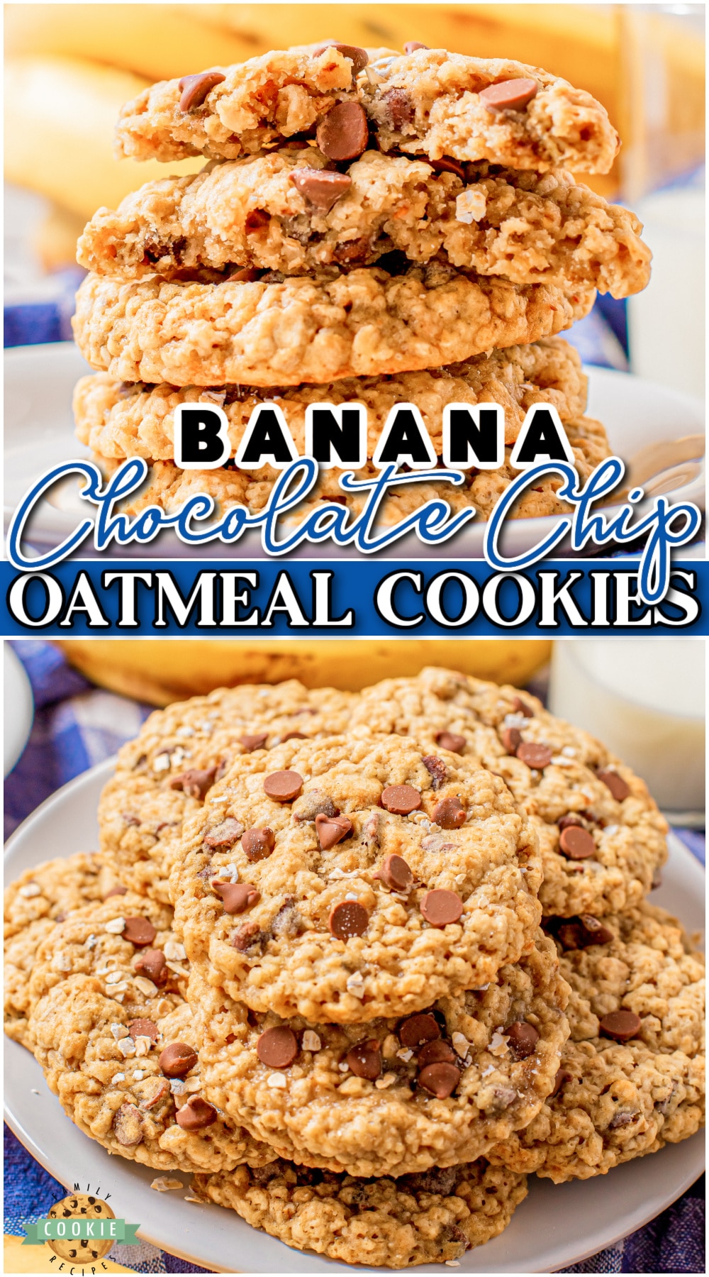 Banana Chocolate Chip Oatmeal Cookies are chewy, sweet oatmeal cookies packed with chocolate chips and banana! Fantastic buttery banana oatmeal cookies that everyone loves! 