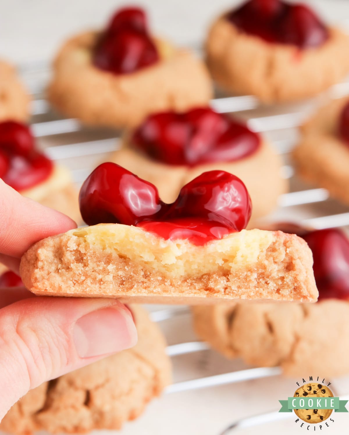 Graham cracker cookie with cheesecake filling and cherries on top