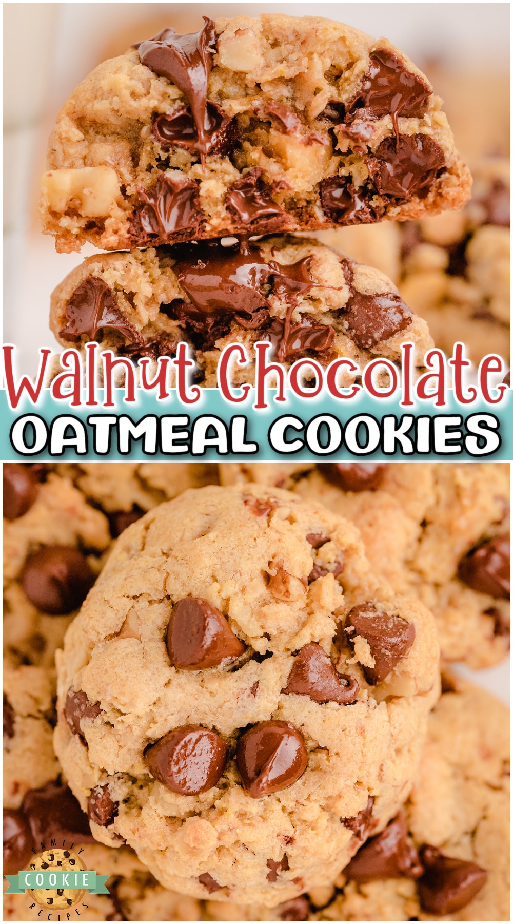 Oatmeal Walnut Chocolate Chip Cookies loaded with chocolate, oatmeal and walnuts! Decadent chocolate chip cookie recipe for nut lovers! 