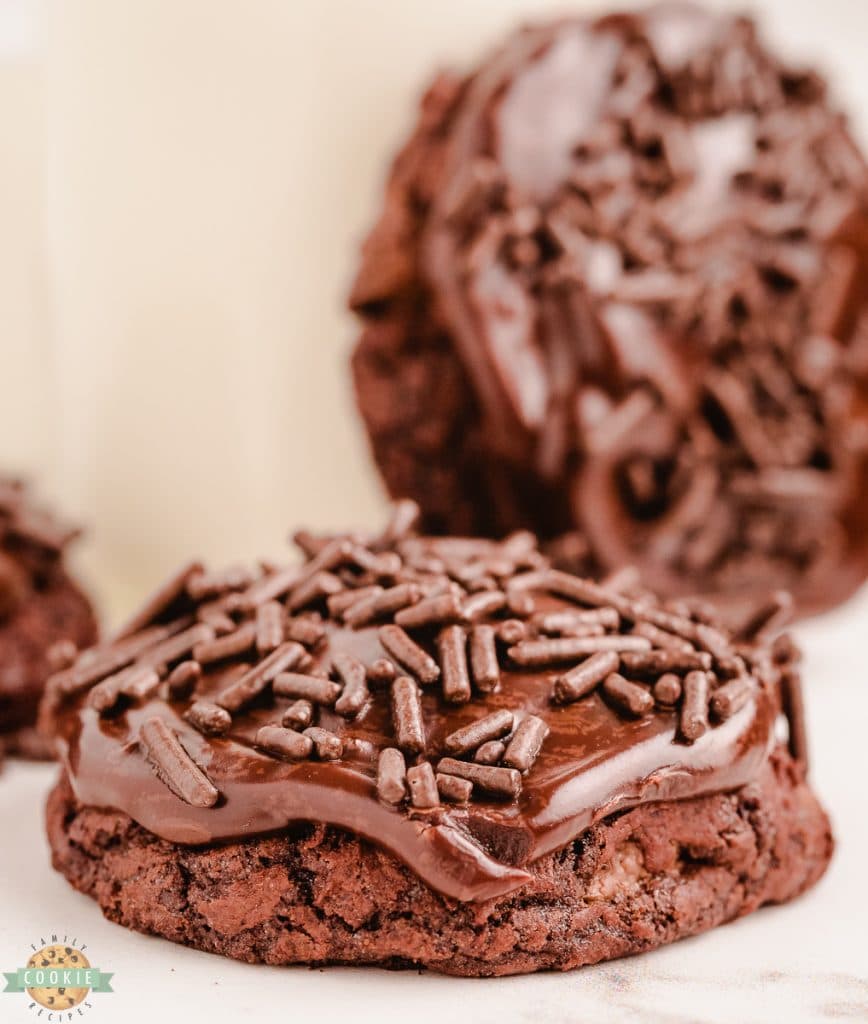 chocolate cookie with milk