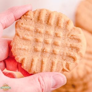 GRANDMA'S PEANUT BUTTER COOKIES - Family Cookie Recipes