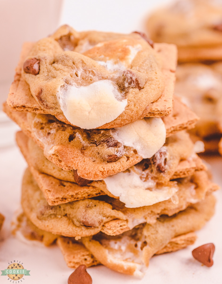 graham cracker s'mores cookies