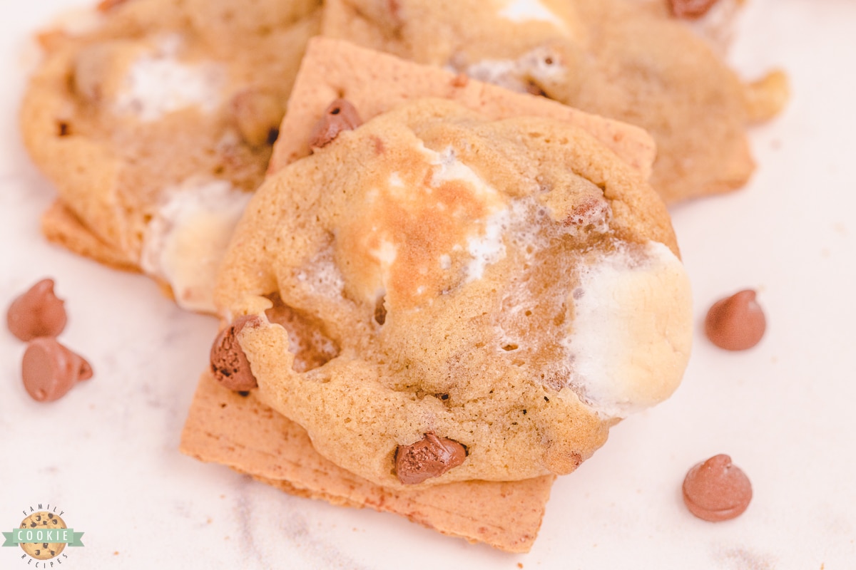 s'mores chocolate chip cookies on a graham cracker