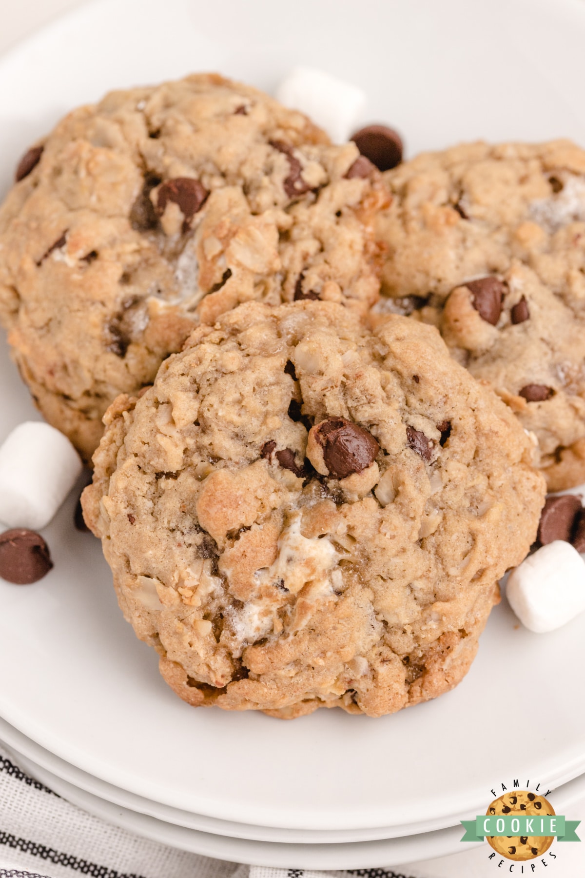 S'mores cookies with oats, chocolate chips and marshmallows