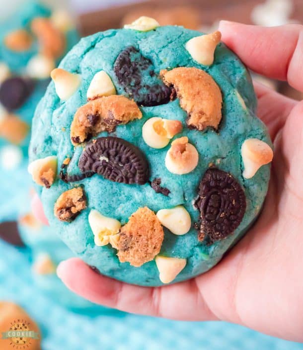 COOKIE MONSTER COOKIES - Family Cookie Recipes